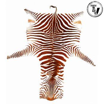 Genuine Zebra Skin Rug